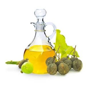 Jatropha Oil for Sale