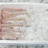 Wholesale Frozen Alaska Cod