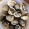 IQF Frozen Blood Clam & Clam Meat