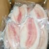 Wholesale Frozen Tilapia Fish