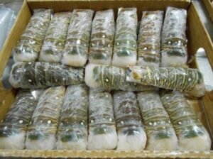 Wholesale Frozen Lobster Tails