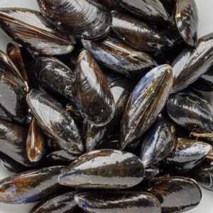 Frozen Pasteurized Shellfish Mussels