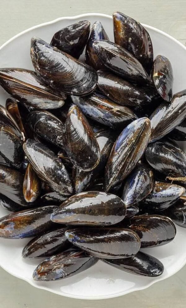 Frozen Pasteurized Shellfish Mussels