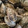 Fresh Organic French Oysters