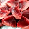 Frozen Southern Bluefin Tuna Wholesale